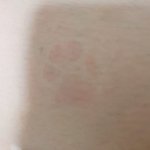 우리집강아지 내 다리 <b>위에</b> 앉아있었는데ㅋㅋㅋㅋㅌ