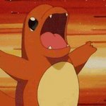 집이 산 옆이라 벌레소리 <b>ASMR</b> 수준임