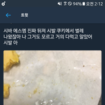 [EXO] 스엠 ㅃ2. 슴<b>쿠키</b> 벌레나옴ㅋㅋㅋㅋㅋ