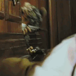 믿고 보는 남자 배우 누구누구 있어?