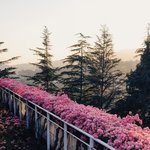 <b>시크</b>한척 하는애들