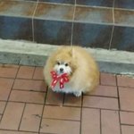 [조언부탁해] (<b>스압주</b>의)질투 쩌는 친구가 틈만나면 멕이는데 어떡해