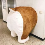 자연<b>갈색</b>인데 검은색으로 염색해오래