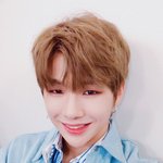 [강다니엘] ㅇㅈ) <b>더</b><b>쇼</b> 셀카 올로왔당ㅋㅋ