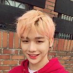 [강다니엘] Ctrl <b>C</b> + Ctrl V