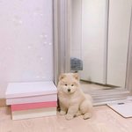 왜 자기 입으로 또라이다 <b>엉뚱</b>하다 병신이다 하면 컨셉충에 패드립...