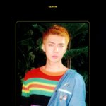 [세훈] 뉴굿즈 엘홀더 <b>스캔</b>본