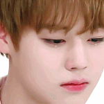 [워너원] <b>정호</b>ㅏ