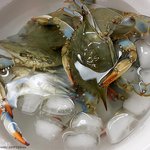 [40075] 30대 아재가 만든 게살버거 패티, 크랩 케이크