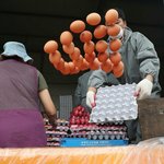 [댓글부탁해] <b>일</b>교시넘어서가는거 에바<b>뽕</b>따냐?