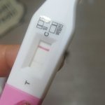 <b>임신테스</b>트기ㅠㅠㅠㅠ