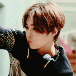 현존하는 남녀 아이돌 여우상 투탑