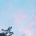 오늘 학교에서 트름했는데 친구가 음식물쓰레기 냄새<b>난대</b>ㅠㅋㅋ