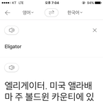 파파고 번역 <b>섬세</b>한거보셈