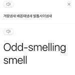 번역기글 올라와서 나도 딴거해봣는데