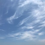 [19] 우리언니 낙태했는데