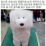 아 진짜 <b>추측</b>충 극혐~~~~