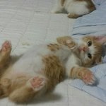 <b>낮잠</b> 잘잤다..
