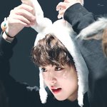지금은 깨끗한 워너원 팬톡을 위해 정화 중입니다.모두 <b>협조</b>부탁드립니다