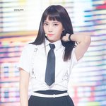 걸그룹계의 냥이+<b>멍뭉이</b>