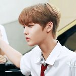 [워너원] ㅇㄱㄹ1마리가 지<b>혼자</b>
