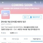 [세븐틴] 허브홈 안하는게 나을 듯....