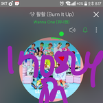 [워너원] 니들 악개들 하는 이야기 <b>요기</b>서 안들어주꺼야