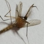 [EXO] ㅅㅂ 요즘 카메라<b>성능</b> 오져