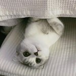 j야