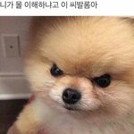 <b>조선</b>에서 왔다는애