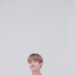 [워너원] 휘랑둥이️모음