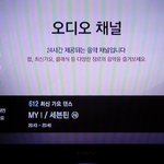 [세븐틴] ㅅㄷ캐럿들 나 지금 너무떨려