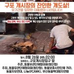 [집회] 구포 개시장의 <b>잔인</b>한 개도살을 멈추기 위한 집회에 참여해주세요...