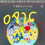 [강다니엘] 홍키라 녤 질문ㅜㅜㅜ