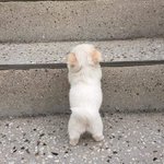 [드루와] 남친이 <b>쌩얼</b>이더예쁘대