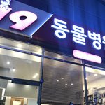 [개깊은빡침] 중성화 수술 후 고양이가 죽었어요