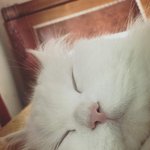후드티 <b>눈치게임</b> 시작이다