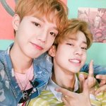 [임영민] ㅅㄷ)집에서 새소리 나서