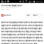 반응 없어서 다시 <b>올림</b>