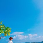 [방탄소년단] 이삐들은 방탄노래중에 이런 느낌드는 노래있어?