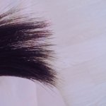 나 머릿결 ㅈㄴ <b>개털</b>임?