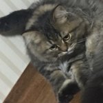 내 <b>동생</b> 아이<b>라인</b> 너무 빼...;;;;