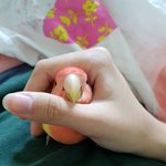 [EXO] 가랏 우리집 <b>개새</b>