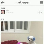 [드루와] 구체적으로 이상형 쓰고 가자