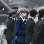 [워너원] 강다니엘도 정화 <b>동참</b>