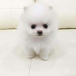 너네는 겨울가을 <b>아우</b>터 뭐뭐있니
