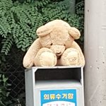 [드루와] 버려졌던 <b>곰인형</b>
