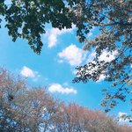 [드루와] <b>썸</b>타다 <b>썸</b>깨졌는데 다른 남자얘랑 사귀니까 다시 들러붙는...