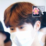 [EXO] 오늘 왜이렇게 <b>청순</b>햄