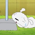 [댓글부탁해] 나 <b>애나벨</b> 혼자보러왔는데 무섭냐ㅠ